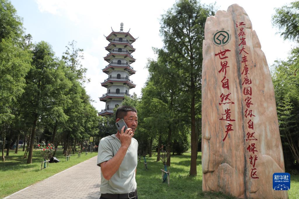 九线玛丽水果机 技巧